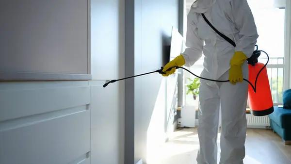 Sydney's Top-Rated Cockroach Pest Control Services: A Comprehensive Review